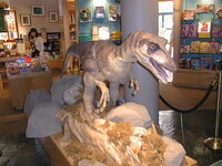 118 - Dinosaur model